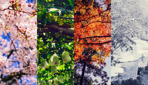 春夏秋冬で髪の毛が抜ける要因は違う？季節の変わり目で変わる抜け毛を比較