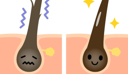 女性の切れ毛の理由は何？根本的問題を解決